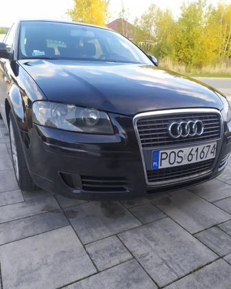 Audi A3 cena 13800 przebieg: 365088, rok produkcji 2007 z Pleszew małe 137